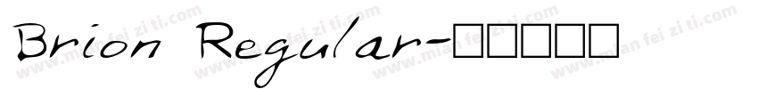 Brion Regular字体转换